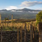 Etna Days: i vini Etna Doc guadagnano quote nel mercato Americano